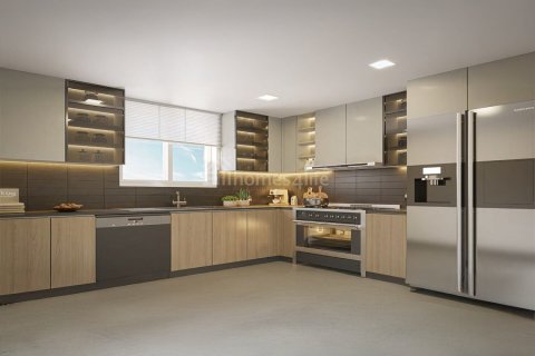 2 غرف نوم شقة في wasl gate, الإمارات العربية المتحدة رقم 167575 15