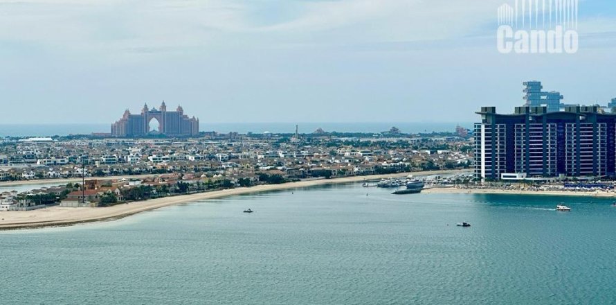 Appartement de 1 chambre à EMAAR Beachfront, UAE No. 49901