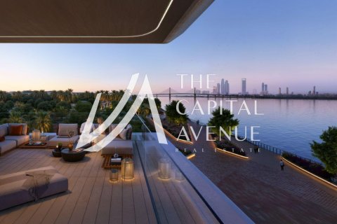 4 bedrooms Apartment in Al Hudayriat Island, UAE No. 215455 20