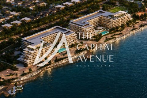 4 bedrooms Apartment in Al Hudayriat Island, UAE No. 215455 21