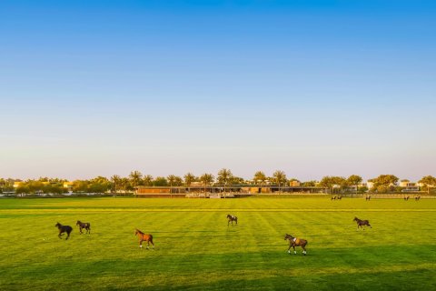 Villa de 4 dormitorios en Dubai Investment Park, UAE No. 215300 7