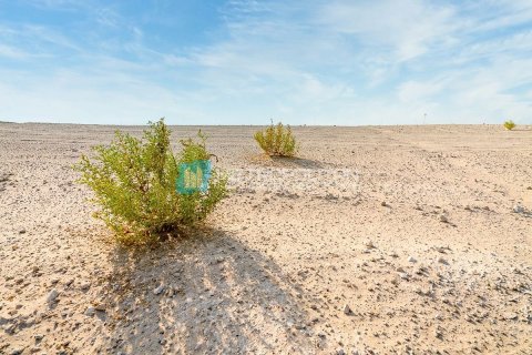 Land de 979.9m² en  Yas Island, UAE No. 105003 4