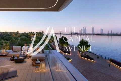 1 bedroom Apartment in Al Hudayriat Island, UAE No. 213116 11