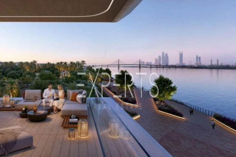 1 bedroom Apartment in Al Hudayriat Island, UAE No. 224126 12