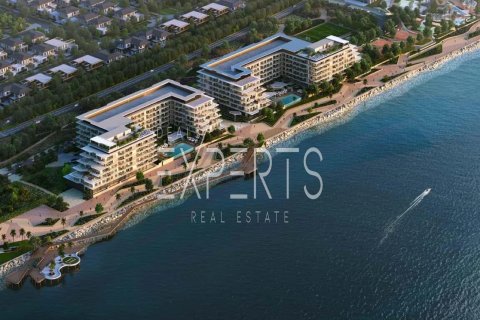 1 bedroom Apartment in Al Hudayriat Island, UAE No. 224126 17