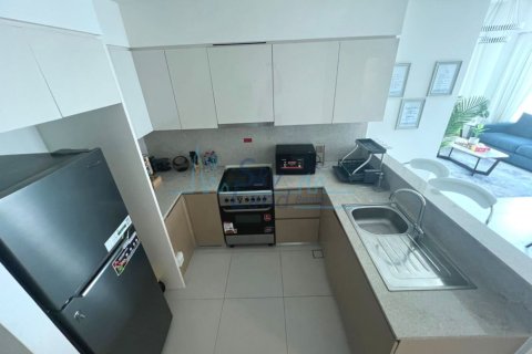 Apartment de 2 dormitorios en Downtown Dubai (Downtown Burj Dubai), UAE No. 125623 20