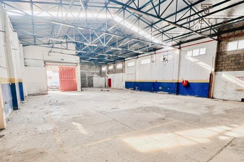 696.8m² Warehouse in Deira, UAE No. 48808