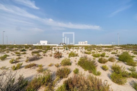 Земельный участок 1013.76м² в Джабаль-Али, ОАЭ №217638 6