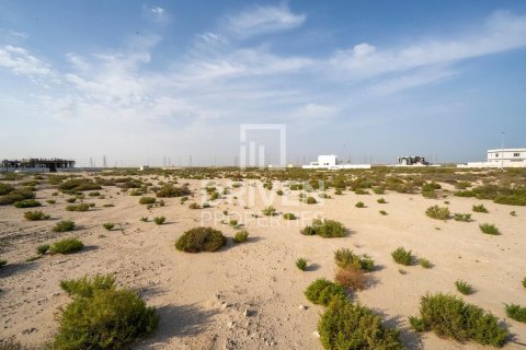 Земельный участок 1013.76м² в Джабаль-Али, ОАЭ №217638 9