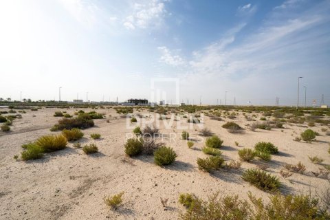 Земельный участок 1013.76м² в Джабаль-Али, ОАЭ №217638 7