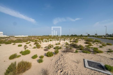 Земельный участок 1013.76м² в Джабаль-Али, ОАЭ №217638 10