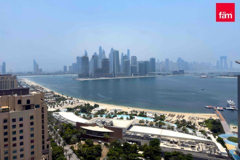33.6مربع، شقة في نخلة جميرا, الإمارات العربية المتحدة رقم 205579 22