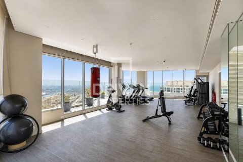 1 bedroom Apartment in Dubai Marina, UAE No. 212174 16