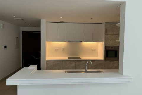 Apartment de 1 dormitorio en Downtown Dubai (Downtown Burj Dubai), UAE No. 223411 7