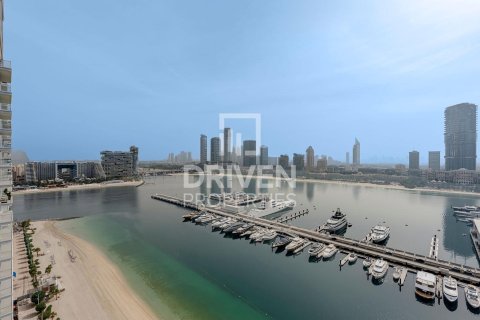 2 bedrooms Apartment in EMAAR Beachfront, UAE No. 212889 14