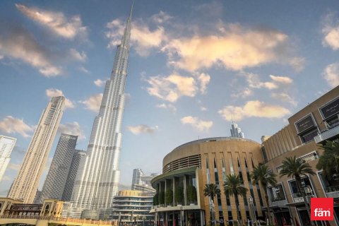 50.7m² Apartment in Downtown Dubai (Downtown Burj Dubai), UAE No. 216261 11