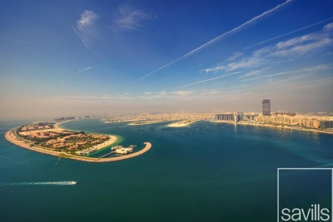 3 bedrooms Apartment in EMAAR Beachfront, UAE No. 213999 12