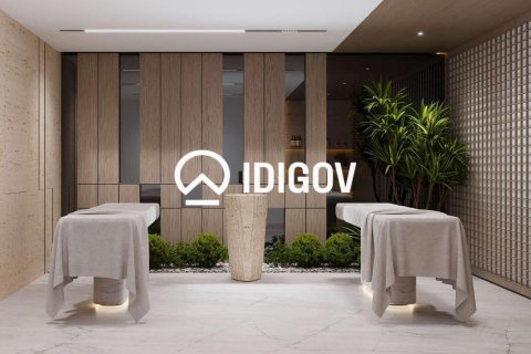 Studio Apartment in Dubai Production City (IMPZ), UAE No. 213909 11
