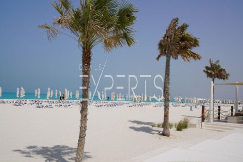Apartment de 1 dormitorio en Saadiyat Cultural District, UAE No. 224215 11