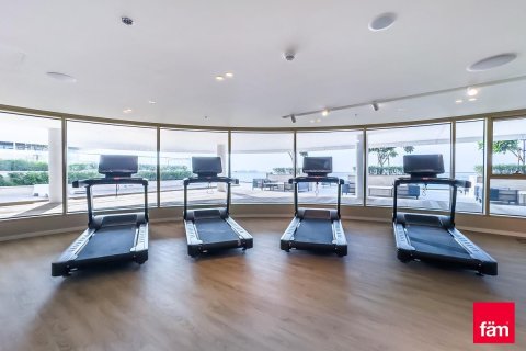 1 bedroom Apartment in Dubai Harbour, UAE No. 215729 15