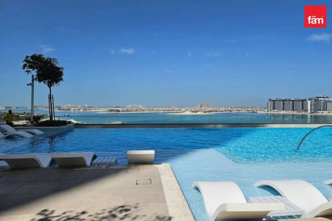 1 bedroom Apartment in Dubai Harbour, UAE No. 203072 15