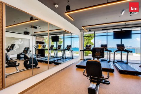 1 bedroom Apartment in Dubai Harbour, UAE No. 203072 16