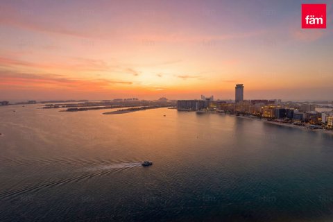 2 غرف نوم شقة في Dubai Harbour, الإمارات العربية المتحدة رقم 142602 23