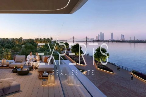 1 bedroom Apartment in Al Hudayriat Island, UAE No. 167754 11