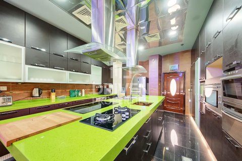 1723.72m² Villa in Sector E, UAE No. 212407 12
