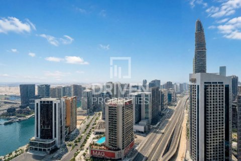 Apartment de 4 dormitorios en Downtown Dubai (Downtown Burj Dubai), UAE No. 221472 29