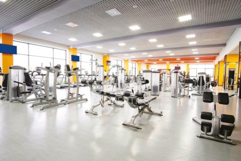 Studio Apartment in Dubai Sports City, UAE No. 217661 8