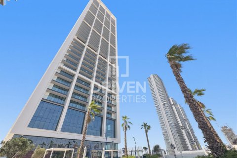 استوديو شقة في District 10, الإمارات العربية المتحدة رقم 211954 19