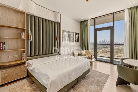 استوديو شقة في District 10, الإمارات العربية المتحدة رقم 211954 2