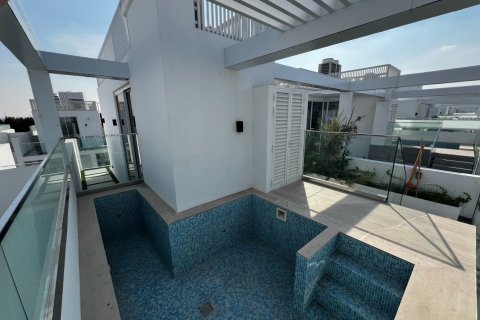 4 bedrooms Townhouse in Wadi Al Safa 3, UAE No. 217128 20