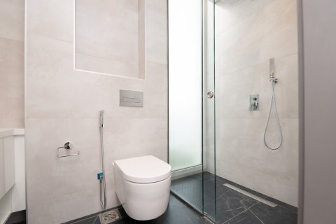 4 bedrooms Townhouse in Wadi Al Safa 3, UAE No. 217128 14
