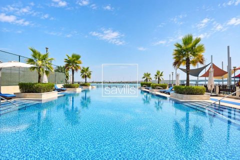2 bedrooms Apartment on the Saadiyat Island, UAE No. 211159 17