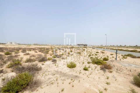 Land de 949.75m² à Jebel Ali, UAE No. 226164 7