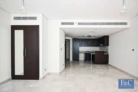 Studio Apartment in DIFC, UAE No. 153385