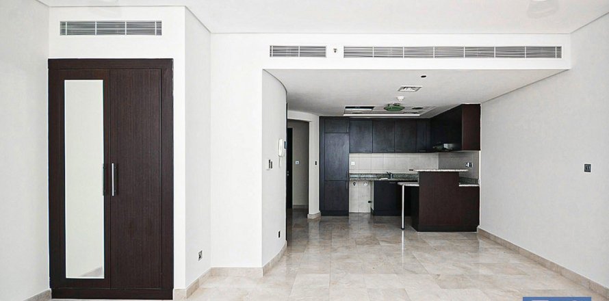 Studio Apartment in DIFC, UAE No. 153385