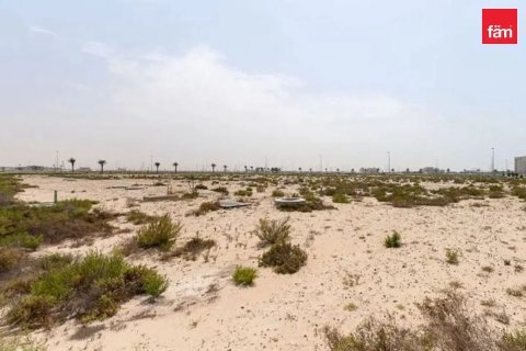 Land de 1126.8m² à Jebel Ali, UAE No. 216311 11