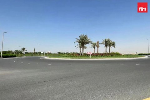 Land de 1126.8m² à Jebel Ali, UAE No. 216311 8