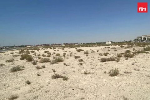 Land de 1126.8m² à Jebel Ali, UAE No. 216311 6