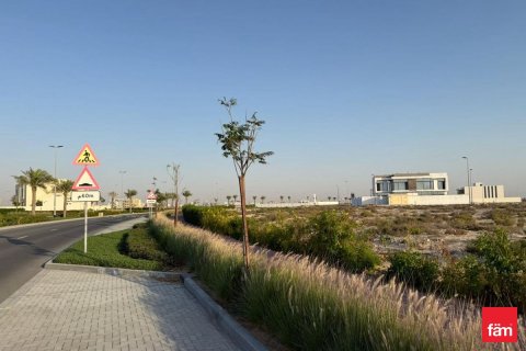 Land de 1126.8m² à Jebel Ali, UAE No. 216311 10