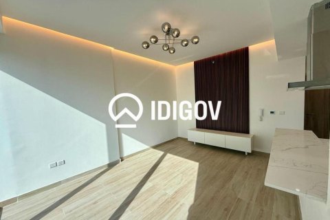 1 bedroom Apartment in Jumeirah Village Circle, UAE No. 210965 4