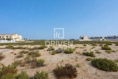 Land de 929.96m² à Jebel Ali, UAE No. 226001 7