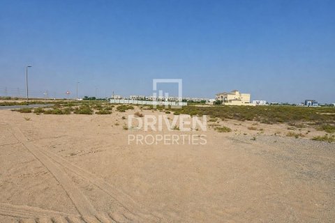 Land de 929.96m² à Jebel Ali, UAE No. 226001 11