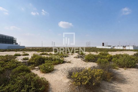 Land de 929.96m² à Jebel Ali, UAE No. 226001 4