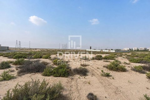 Land de 929.96m² à Jebel Ali, UAE No. 226001 10
