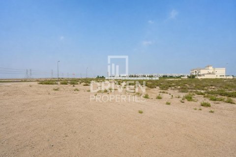 Land de 929.96m² à Jebel Ali, UAE No. 226001 3