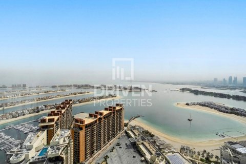 1 bedroom Apartment in The Palm Tower, UAE No. 212581 12